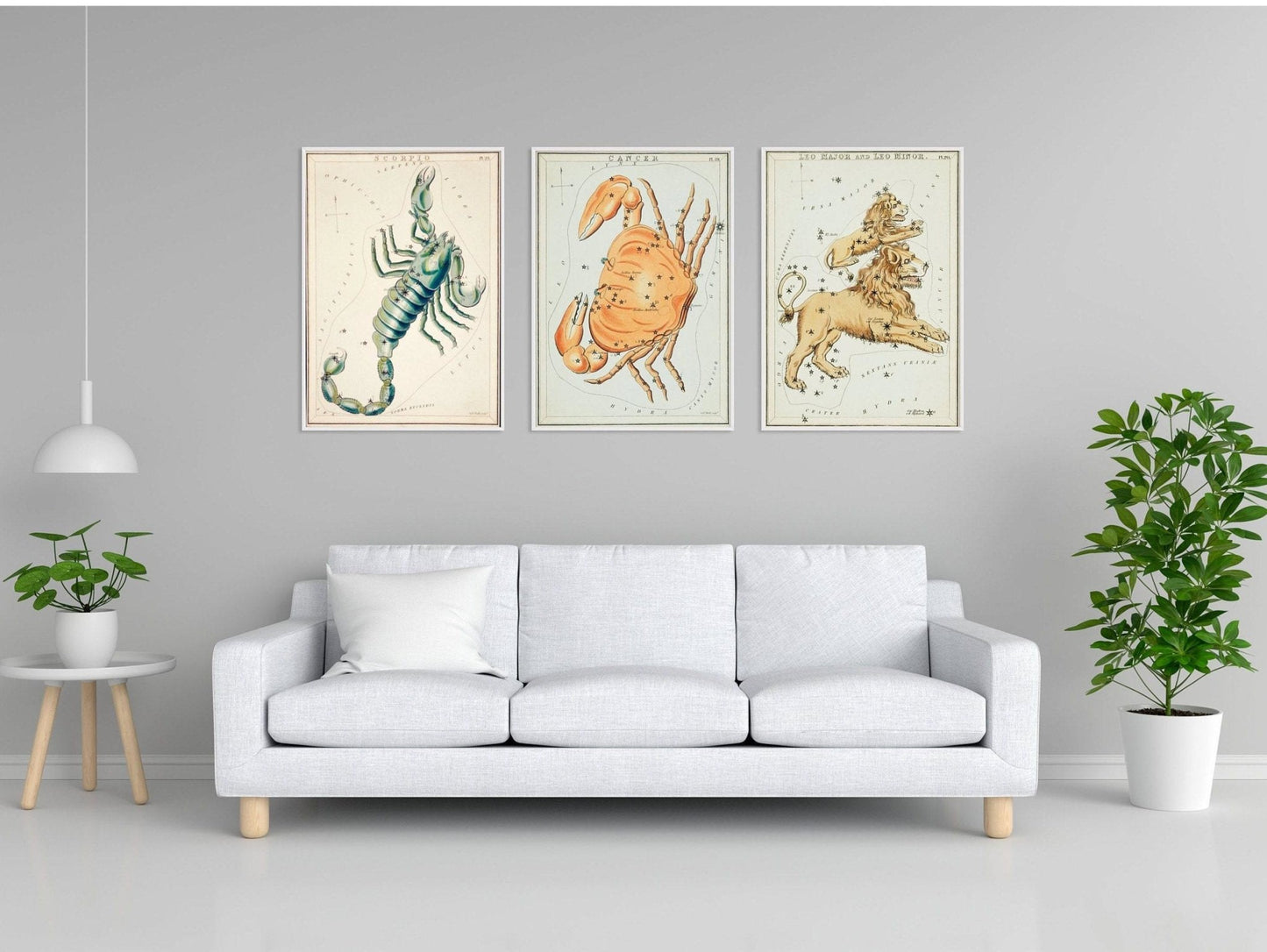Scorpio Zodiac Sign: Constellation of a Scorpion