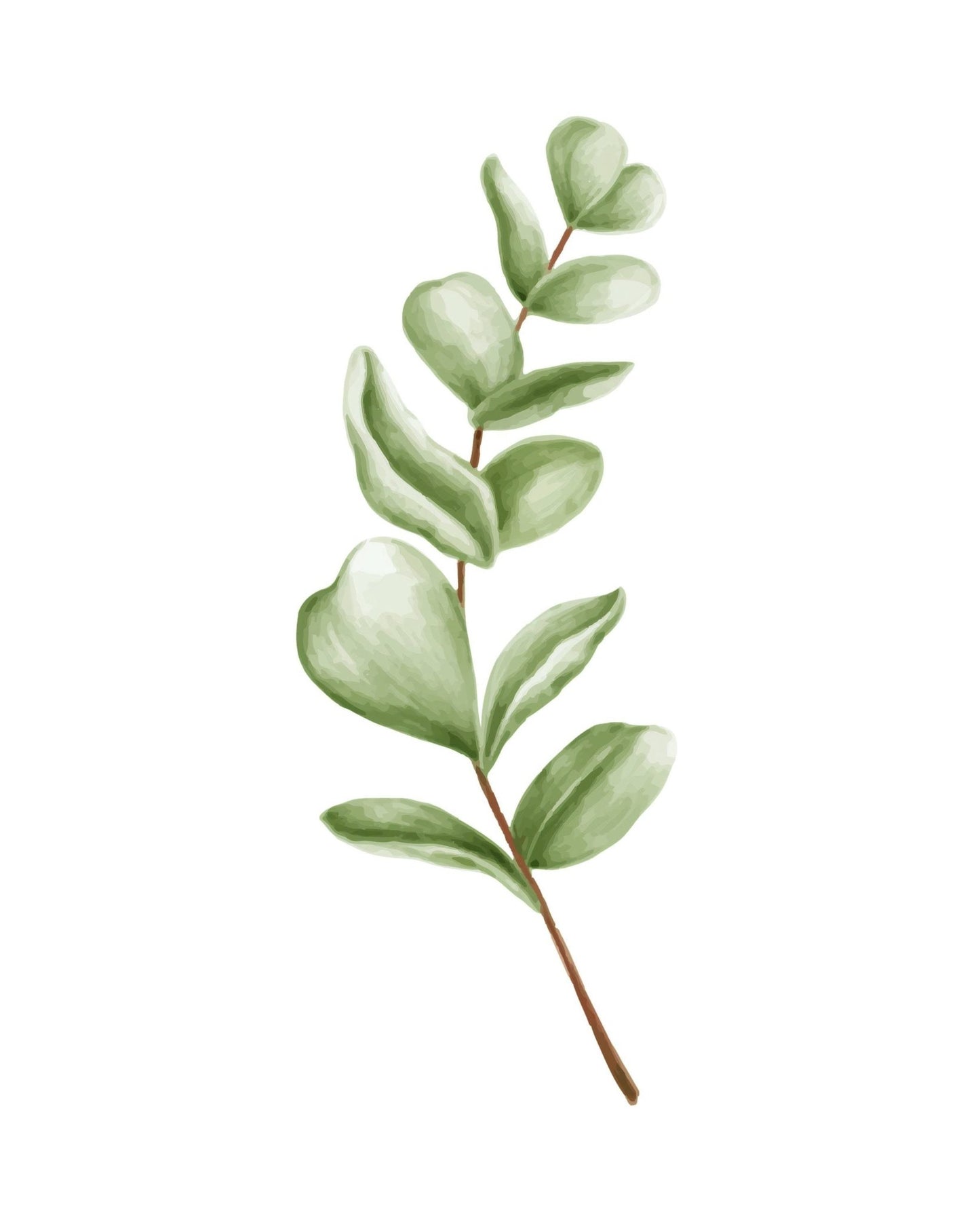 Ensemble de 3 feuilles illustrées
