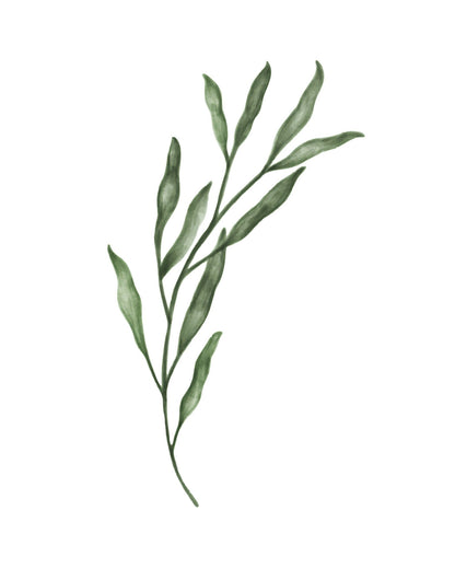 Ensemble de 3 feuilles illustrées