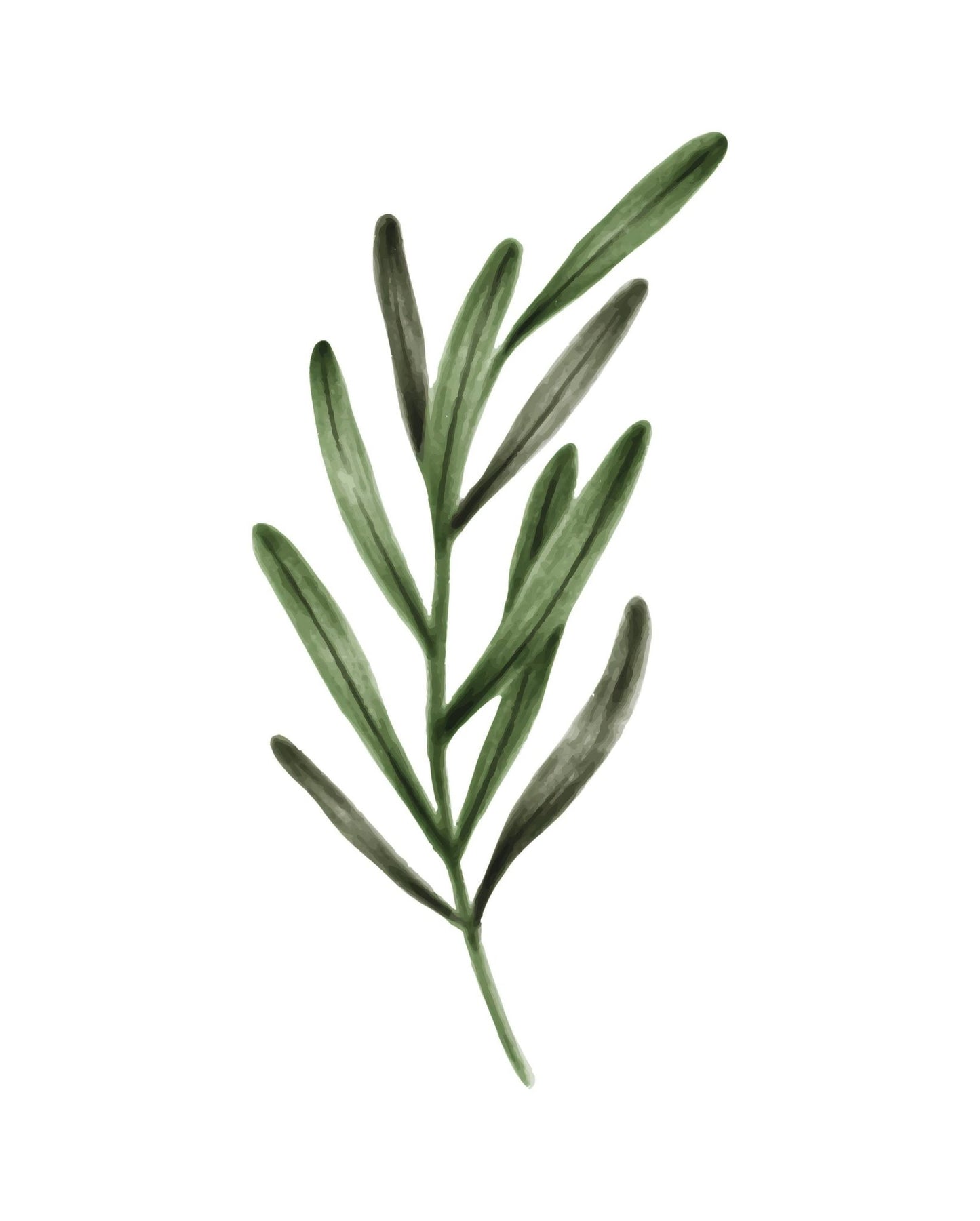 Ensemble de 3 feuilles illustrées