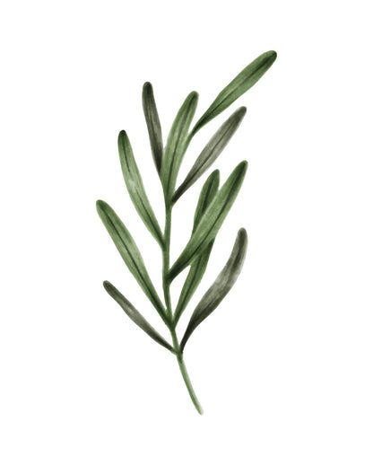 Ensemble de 3 feuilles illustrées