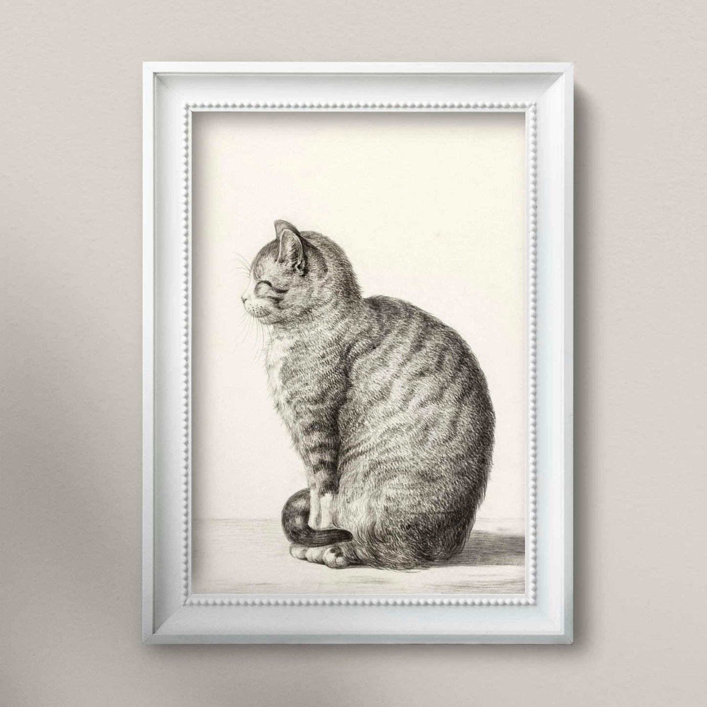 Chat assis