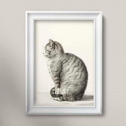 Chat assis