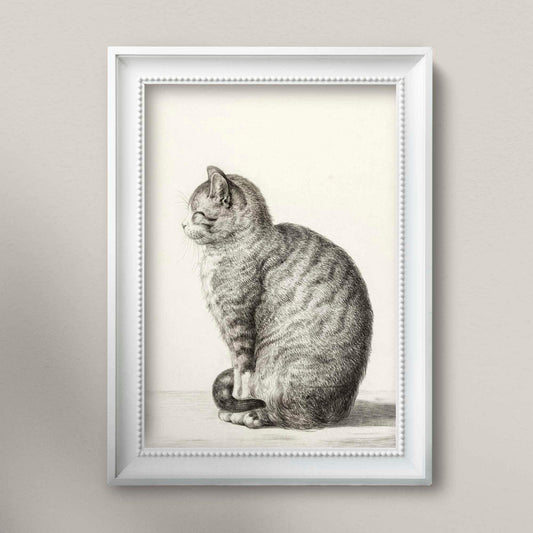 Sitzende Katze