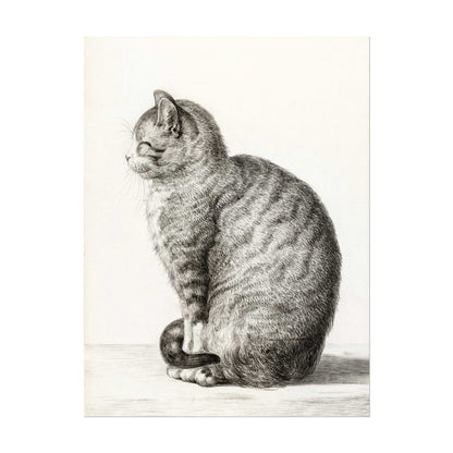 Chat assis