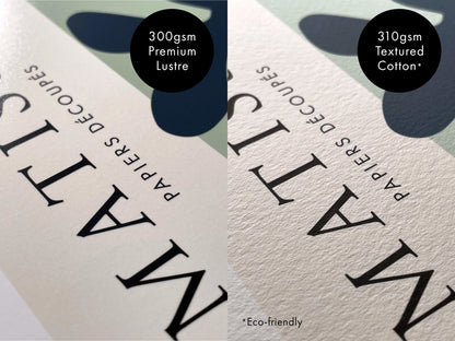 SPACEX - Mars: Phobos and Deimos - Pathos Studio - Art Prints