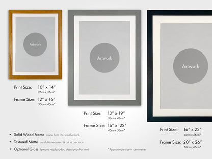 SPACEX - Mars: Valles Marineris - Pathos Studio - Art Prints