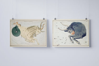 Taurus Zodiac Sign: Constellation of a Bull