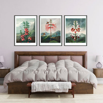 TEMPLE OF FLORA - Set of 3 Flower Prints - Pathos Studio - Art Print Sets