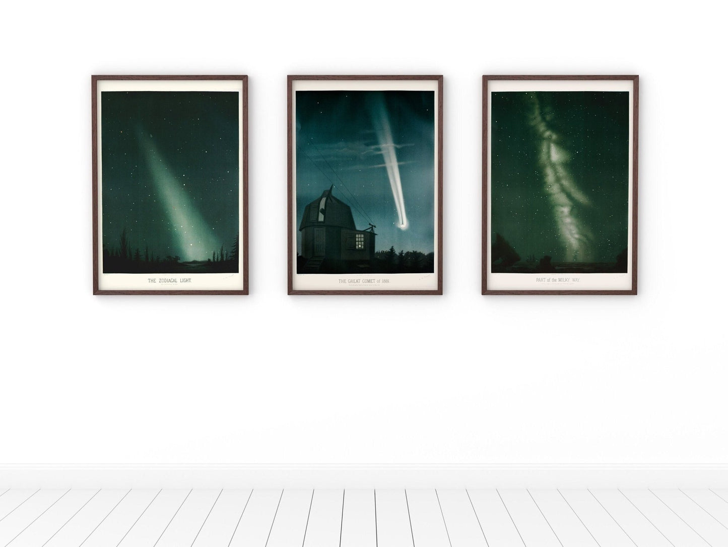 TROUVELOT - Set of 3 Astronomy Prints - Pathos Studio - Art Print Sets