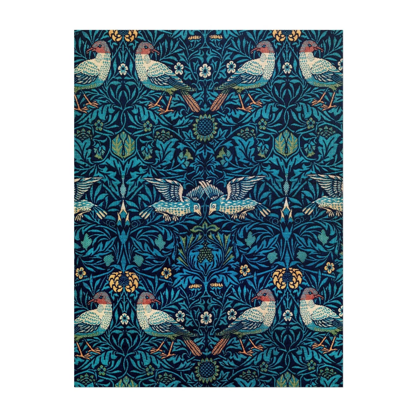 Oiseaux