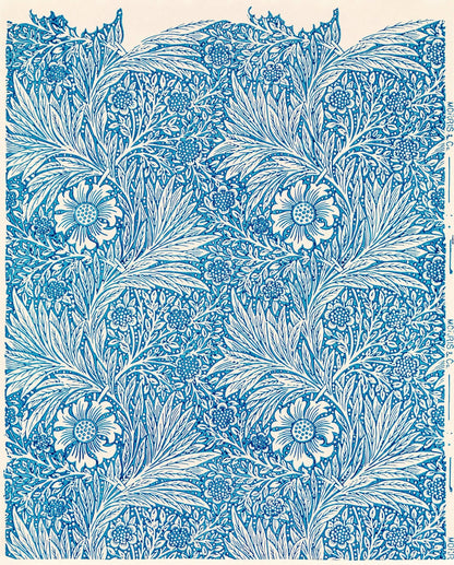 Souci bleu