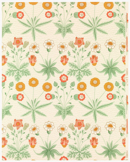 Gänseblümchen