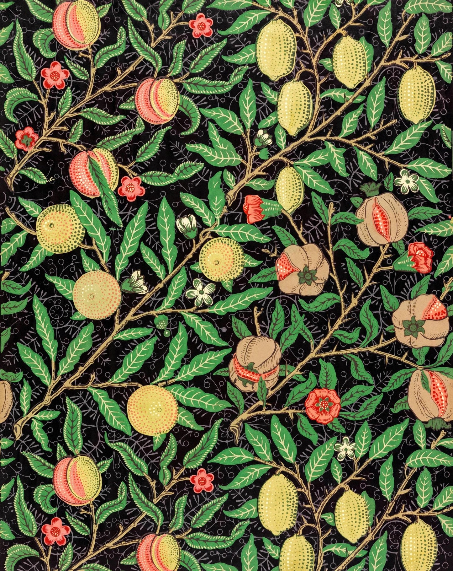 Pomegranate Fruit