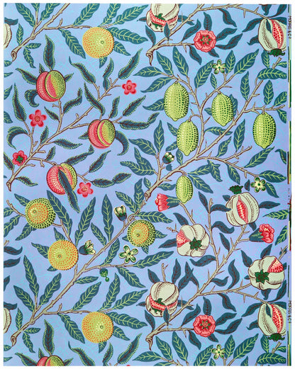 Fruit de grenade