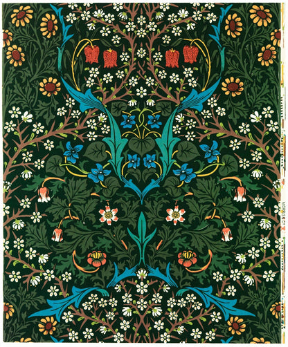 Tulipe