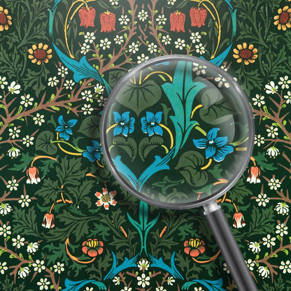 Tulipe