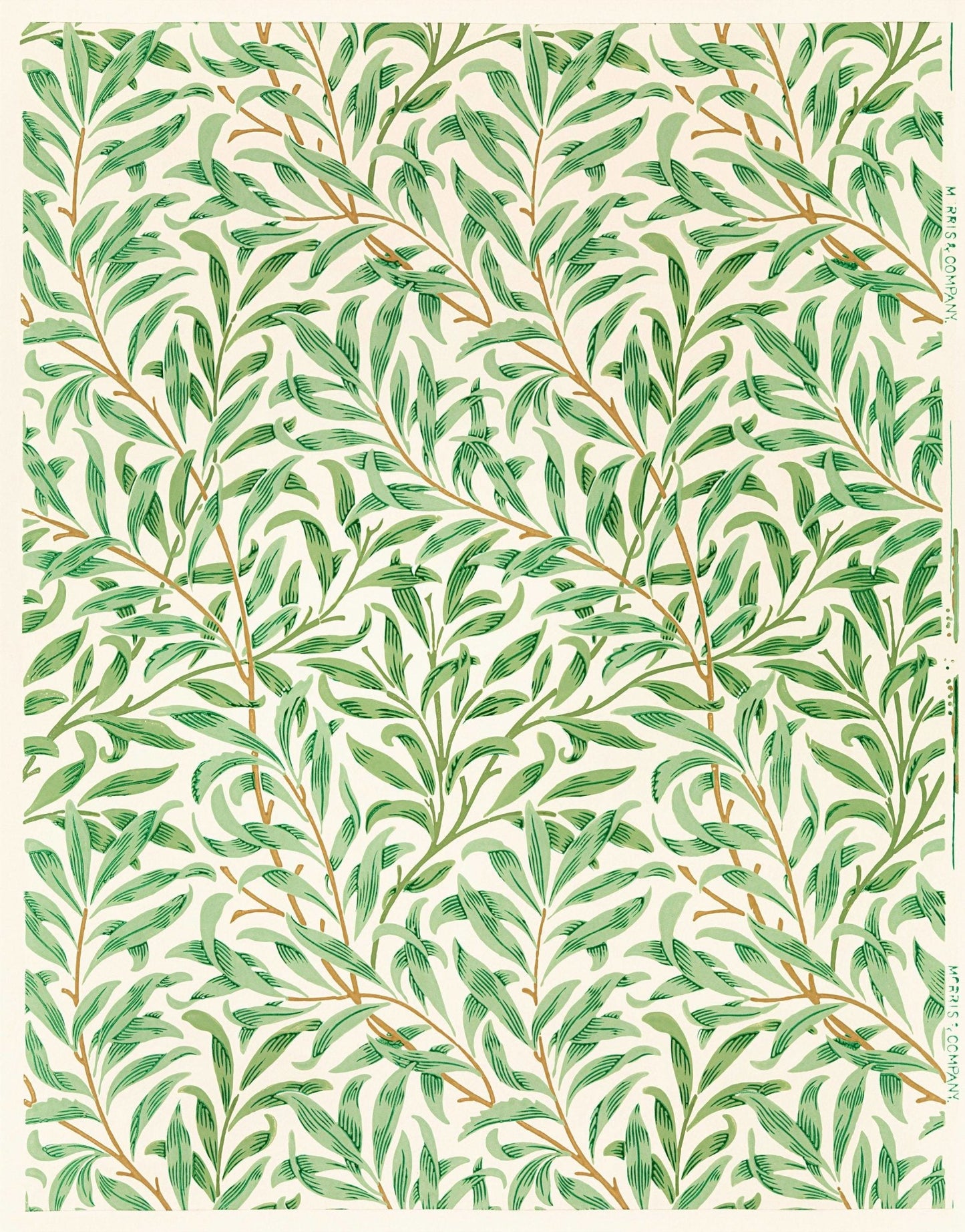 Willow Bough