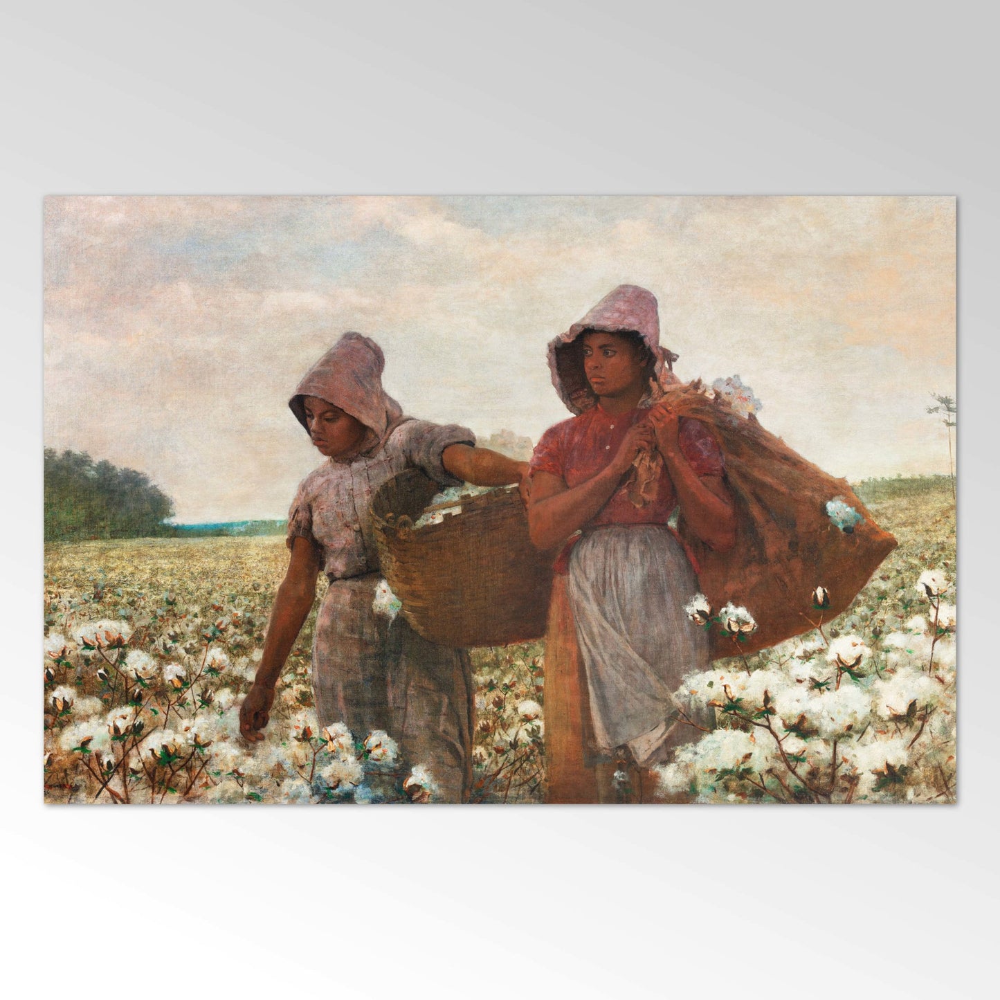 The Cotton Pickers